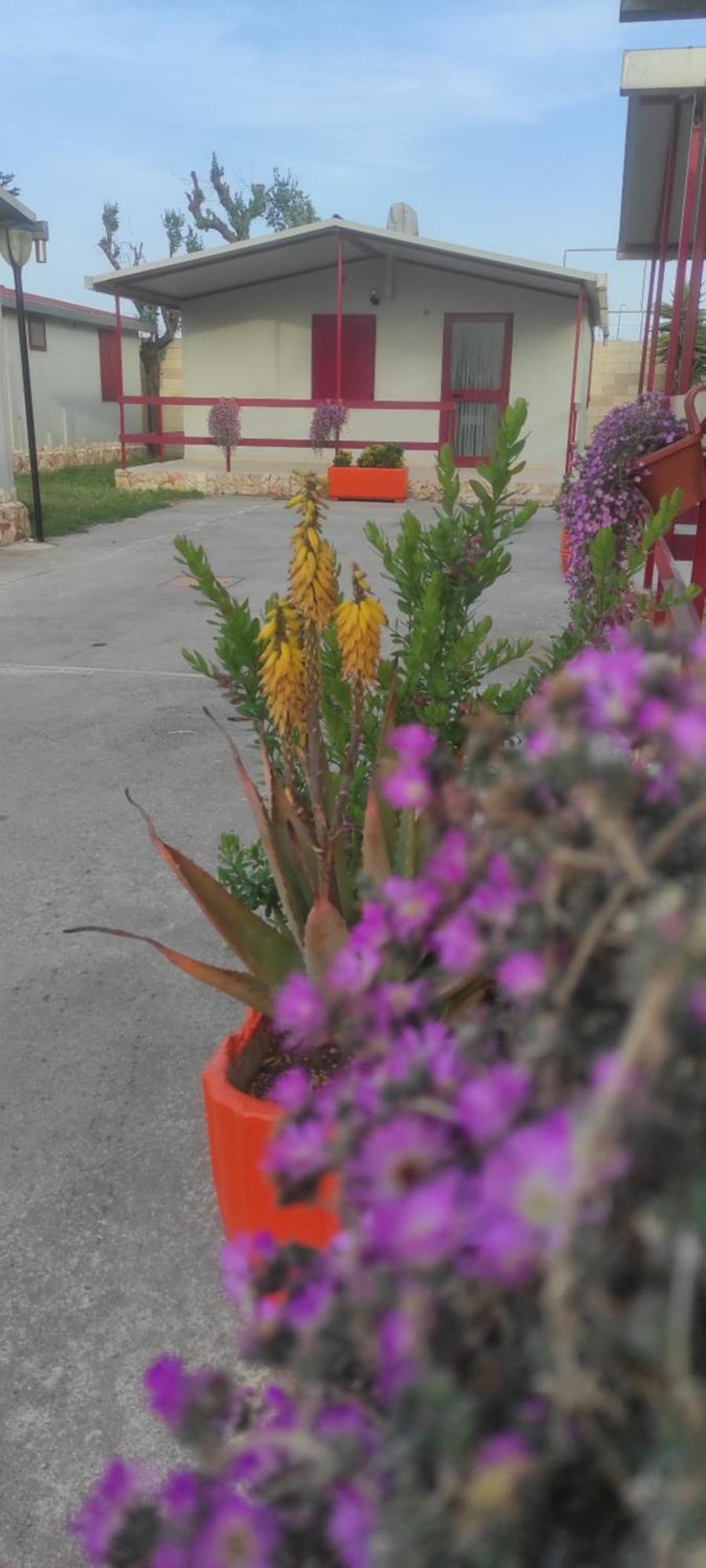Villaggio Albergo Cervo Zapponeta Buitenkant foto