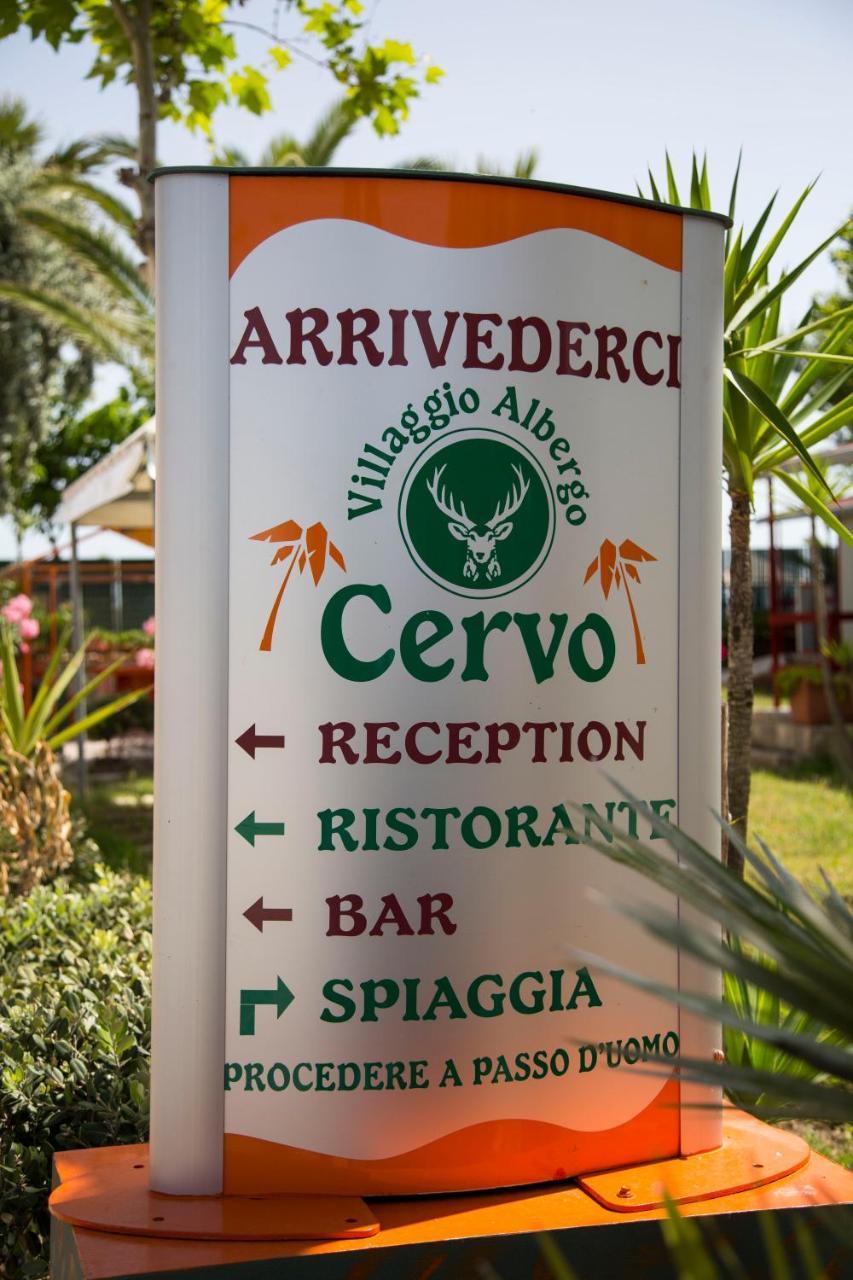 Villaggio Albergo Cervo Zapponeta Buitenkant foto